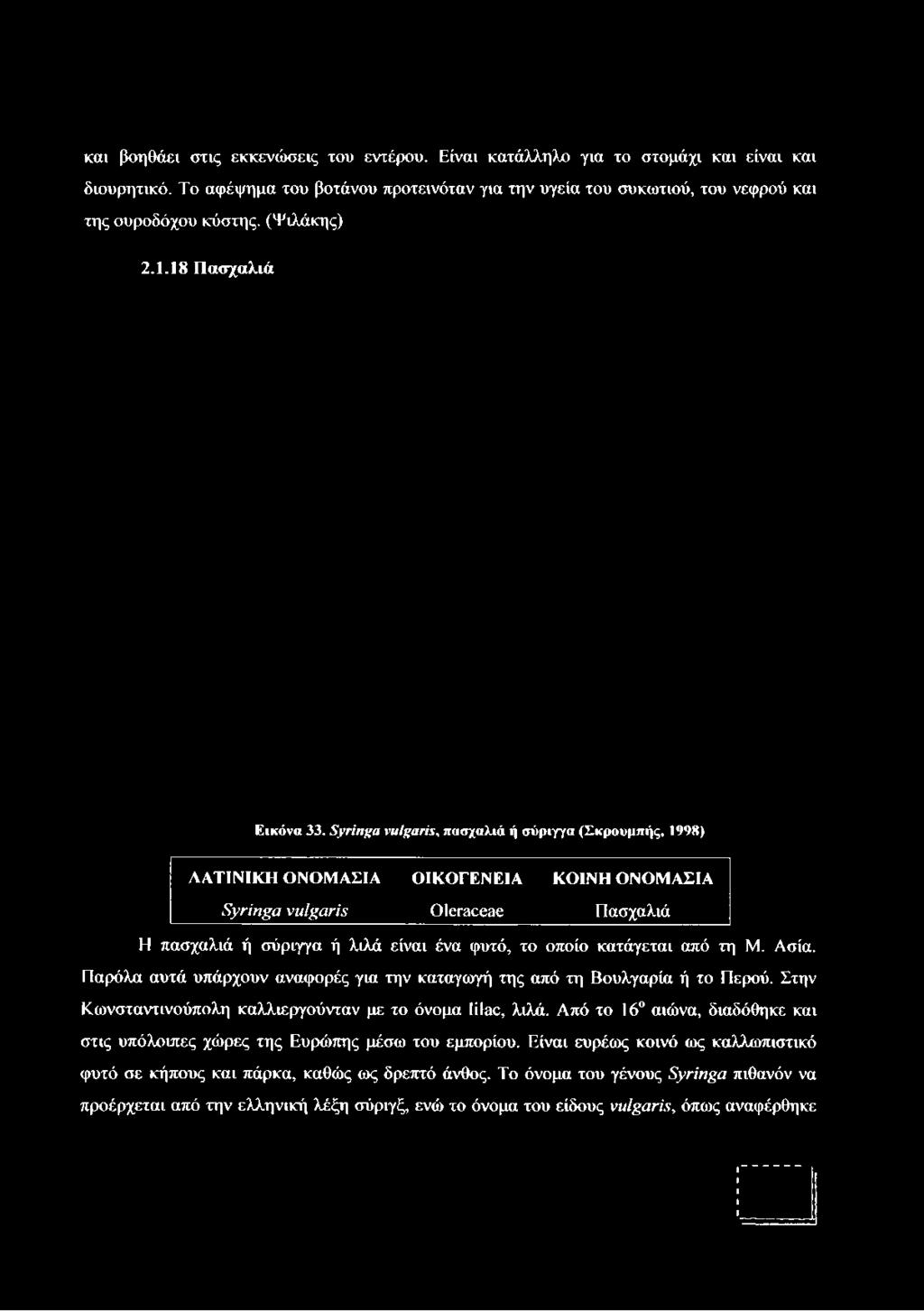 Syringa vulgaris, πασχαλιά ή σύριγγα (Σκρουμπής, 1998) ΛΑΤΙΝΙΚΗ ΟΝΟΜΑΣΙΑ ΟΙΚΟΓΕΝΕΙΑ ΚΟΙΝΗ ΟΝΟΜΑΣΙΑ Syringa vulgaris Oleraceae Πασχαλιά Η πασχαλιά ή