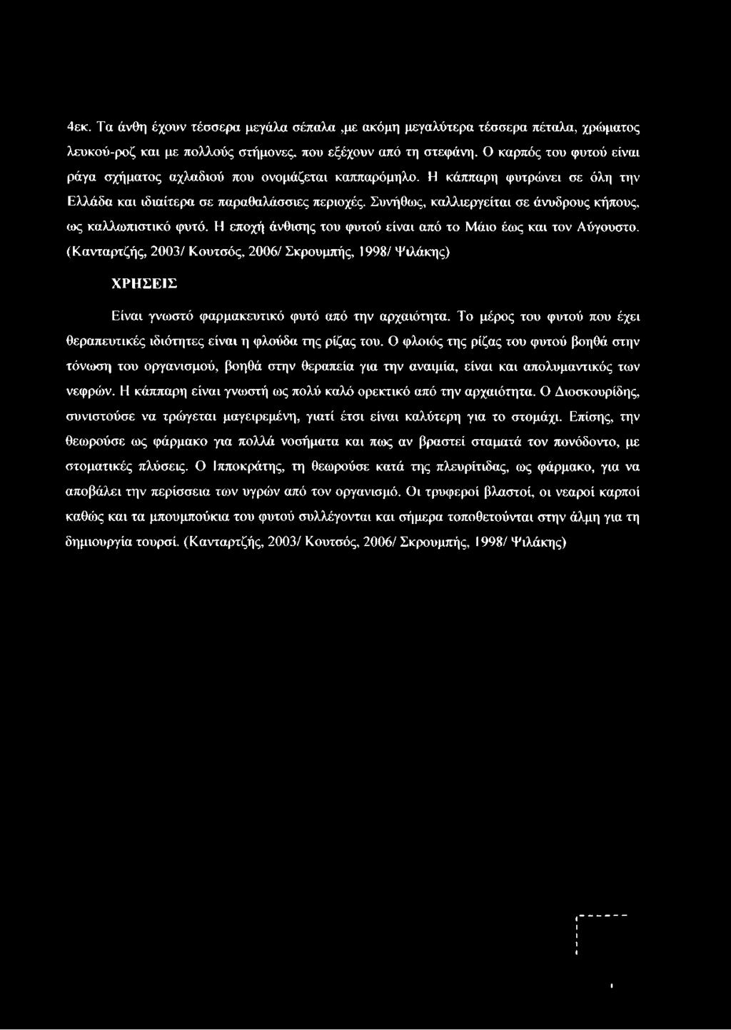 4εκ. Τα άνθη έχουν τέσσερα μεγάλα σέπαλα,με ακόμη μεγαλύτερα τέσσερα πέταλα, χρώματος λευκού-ροζ και με πολλούς στήμονες, που εξέχουν από τη στεφάνη.