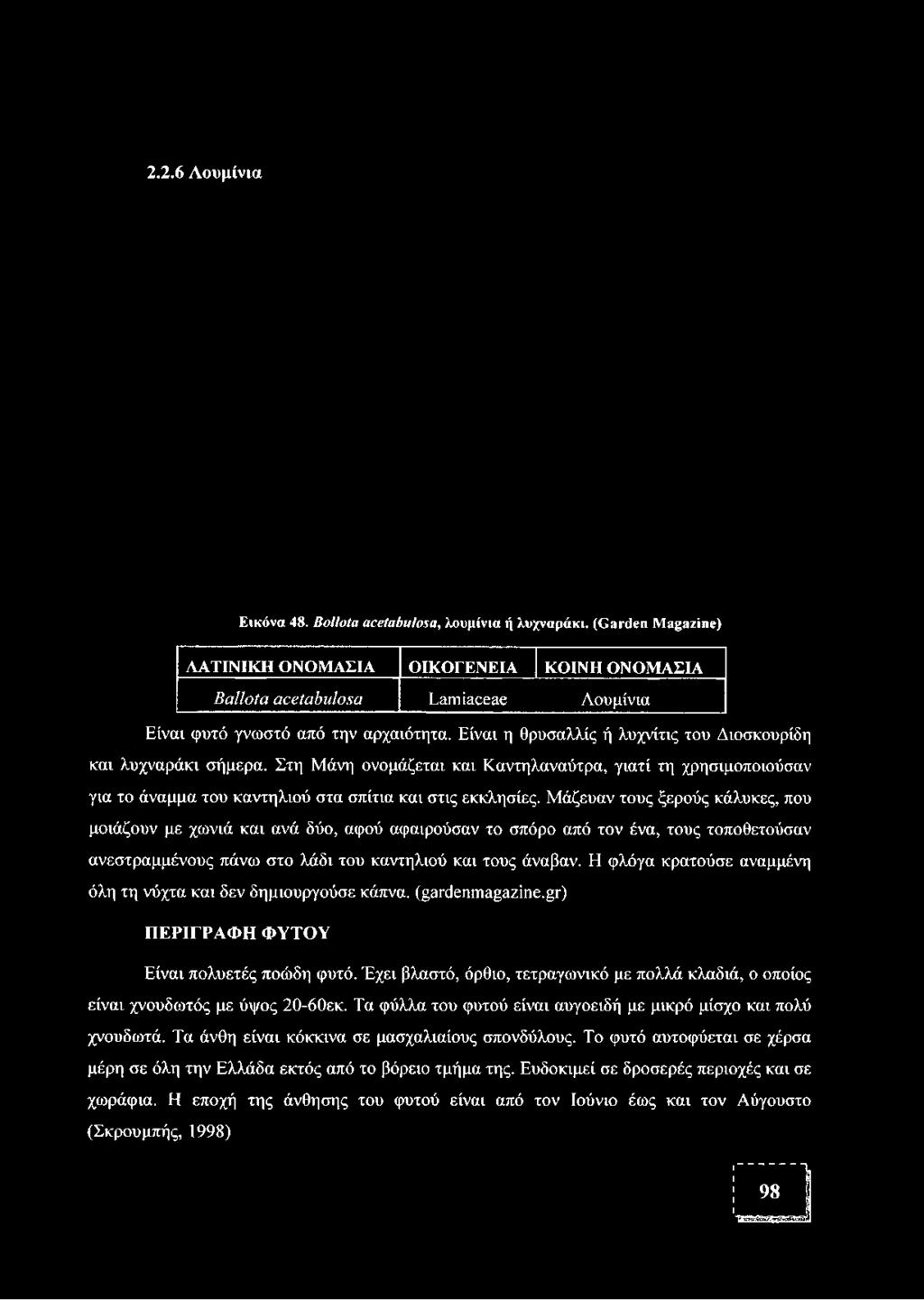 Στη Μάνη ονομάζεται και Καντηλαναύτρα, γιατί τη χρησιμοποιούσαν για το άναμμα του καντηλιού στα σπίτια και στις εκκλησίες.