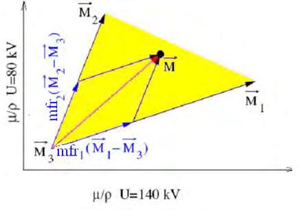 Figure 5.8: Material decomposition with mass fraction analysis The analysis will be similar with volume fractions if we consider volume conservation.