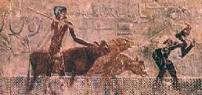 Το νερό στη θρησκεία Από τα πρώτα χρόνια της ύπαρξής του στη γη, ο άνθρωπος κατάλαβε τι σημασία που είχε το νερό για τη ζωή τη δική του αλλά και των άλλων πλασμάτων της.
