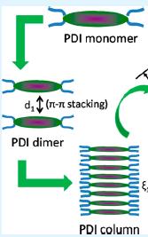 (α) (β) Σχήμα 2.14: (α) Διάταξη των PDIs σε κιονοειδείς στοίβες [30], (β) Ελικοειδής διάταξη μορίων PDIs σε ένα κυλινδρικό συσσωμάτωμα [35].