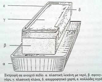 Εκτροφή