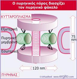 πυρηνικού φακέλου ως