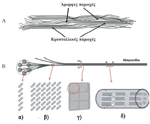 Σχηματική παράσταση δομής Σχήμα 2.5. Α. Κατά μήκος τομή μικροϊνιδίου: α) κρυσταλλική περιοχή, β) άμορφη περιοχή. Β.
