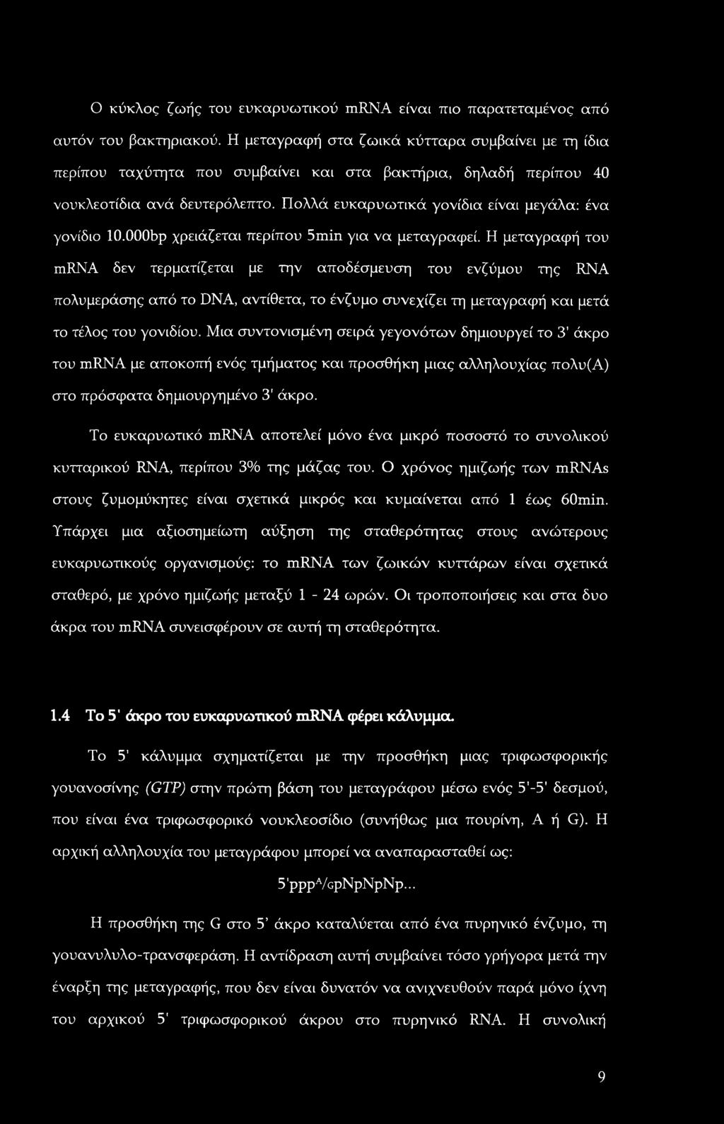 Ο κύκλος ζωής του ευκαρυωτικού mrna είναι πιο παρατεταμένος από αυτόν του βακτηριακού.
