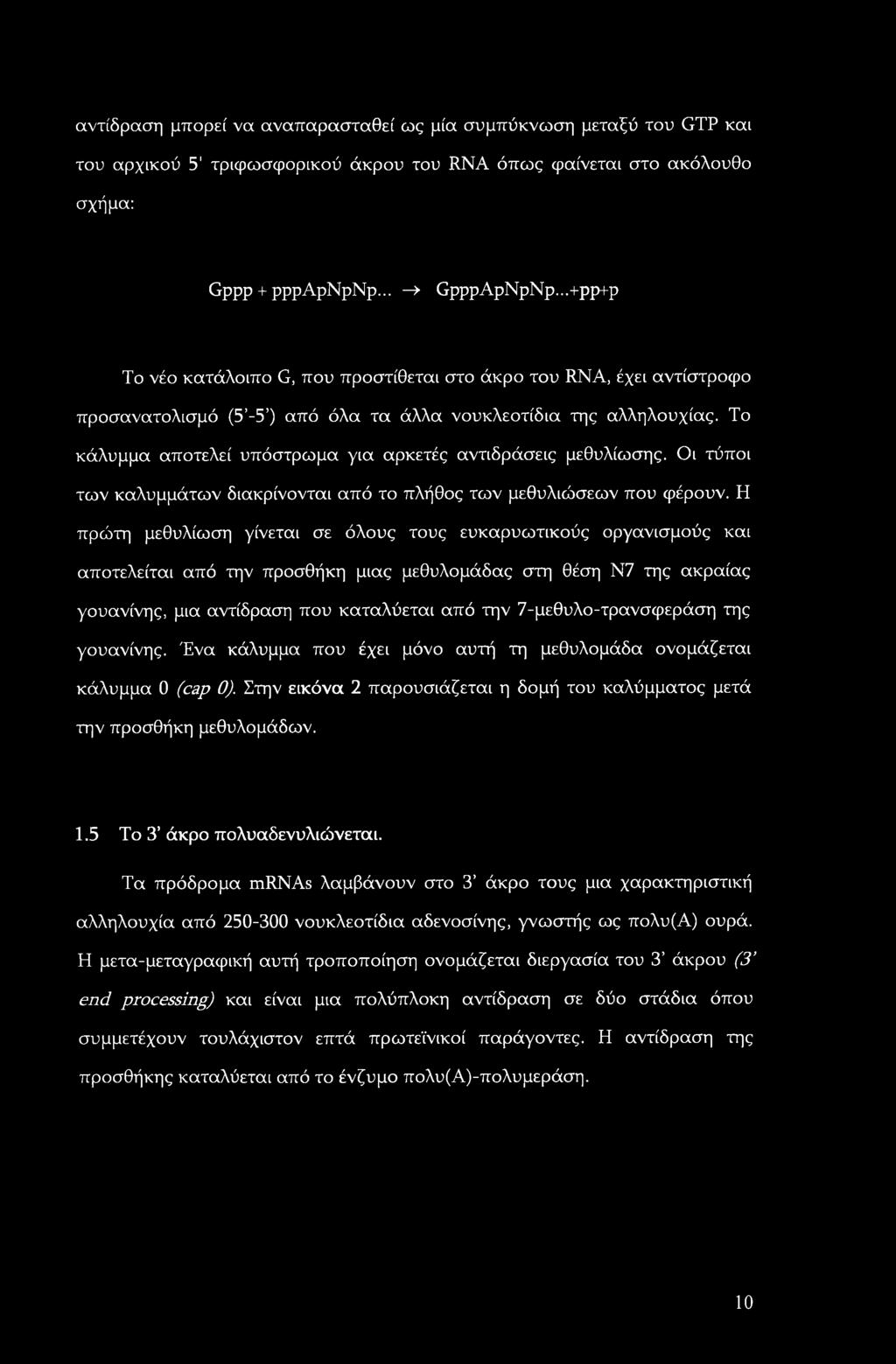 Το κάλυμμα αποτελεί υπόστρωμα για αρκετές αντιδράσεις μεθυλίωσης. Οι τύποι των καλυμμάτων διακρίνονται από το πλήθος των μεθυλιώσεων που φέρουν.