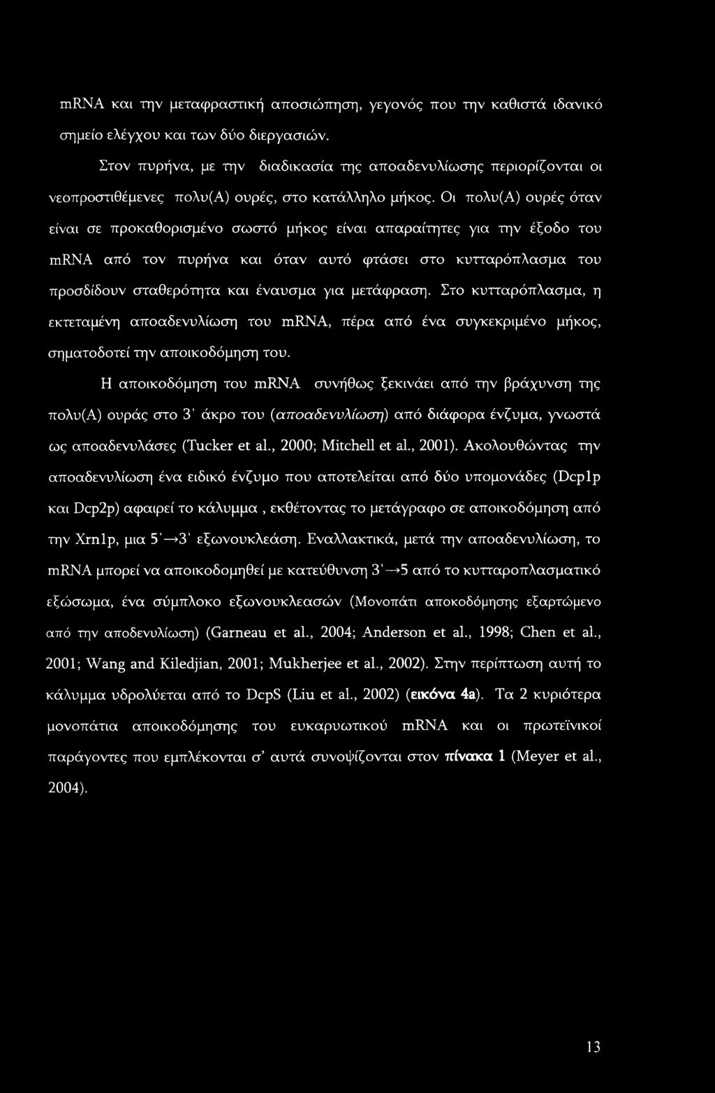 Οι πολυ(α) ουρές όταν είναι σε προκαθορισμένο σωστό μήκος είναι απαραίτητες για την έξοδο του mrna από τον πυρήνα και όταν αυτό φτάσει στο κυτταρόπλασμα του προσδίδουν σταθερότητα και έναυσμα για