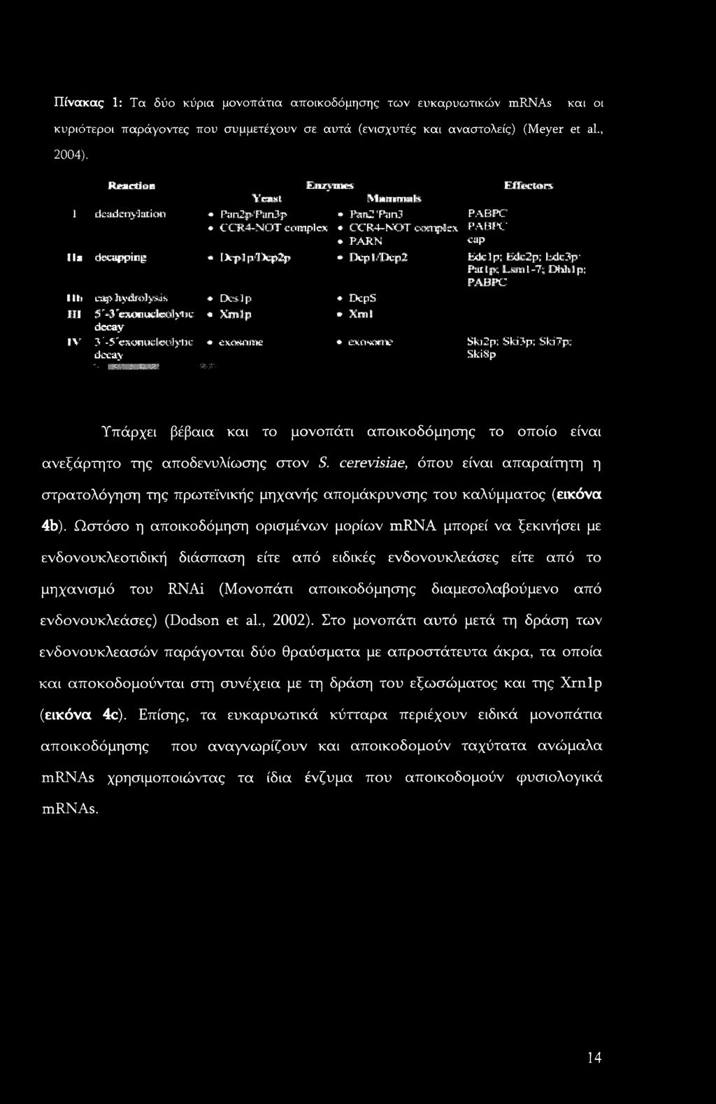iidc2p; IsileSp Par Ip; Lam 1-7; DMM p; lit) ea > hydtatysis Dcs Ip * DcpS PABPC III 5 Ά 'emwudcsjyi jc * decay Kmtp * Xml IV S'-S'esiionHdtoclyljc e'yitmmw * exn**»** Sk)2p; Ski3p; SldTpc decay