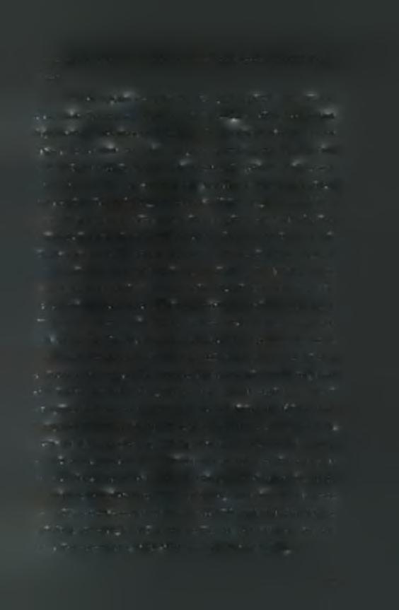 1.8 Η πολυ(α)-εξειδικευμενη ριβονουκλεάση [poly(a)-specific ribonouclease, PARN] Η PARN αρχικά απομονώθηκε και χαρακτηρίστηκε σε κύτταρα θηλαστικών (Astrom et al., 1992; Komer et al., 1997).
