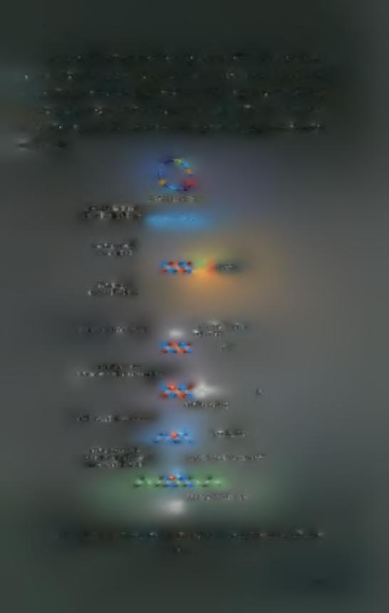 Ο μηχανισμός δράσης των shrnas έγκειται στην in vivo μεταγραφή της κλωνοττοιημένης στο φορέα αλληλουχίας του shrna ενδοκυτταρικά και η παραγωγή μικρών δίκλωνων μορίων RNA που φέρουν μια δευτεροταγή