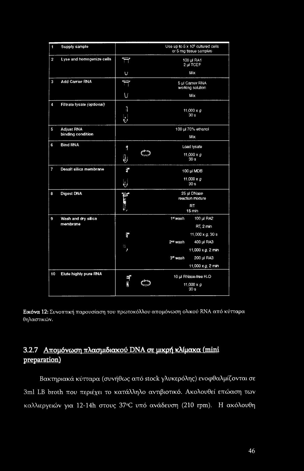and dry silica membrane 1 11,000 x g l 30 s i c ς f 100 μι 70% ethanol Mix Load lysate 1 Iii t 1 y?