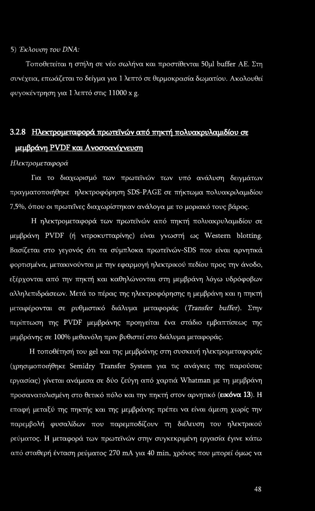 8 Ηλεκτρομεταφορά πρωτεϊνών από πηκτή πολυακρυλαμιδίου σε μεμβράνη PVDF και Ανοσοανίγνευση Ηλεκτρομεταφορά Για το διαχωρισμό των πρωτεϊνών των υπό ανάλυση δειγμάτων πραγματοποιήθηκε ηλεκτροφόρηση