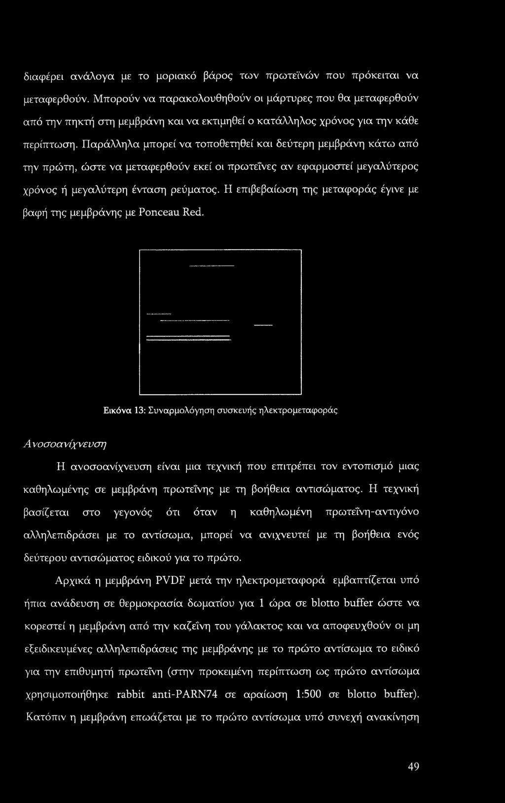Παράλληλα μπορεί να τοποθετηθεί και δεύτερη μεμβράνη κάτω από την πρώτη, ώστε να μεταφερθούν εκεί οι πρωτεΐνες αν εφαρμοστεί μεγαλύτερος χρόνος ή μεγαλύτερη ένταση ρεύματος.