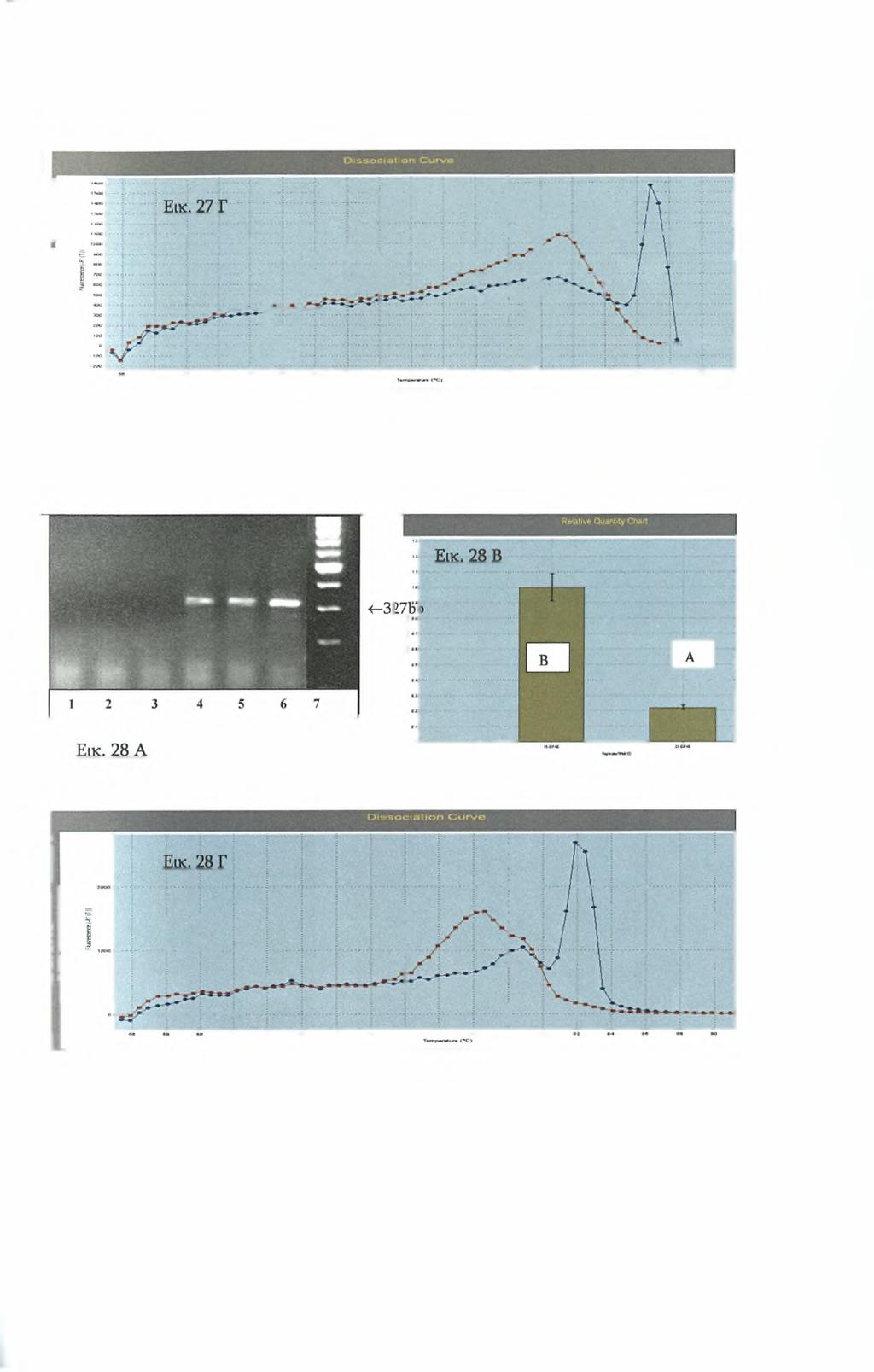 HIF 1-a