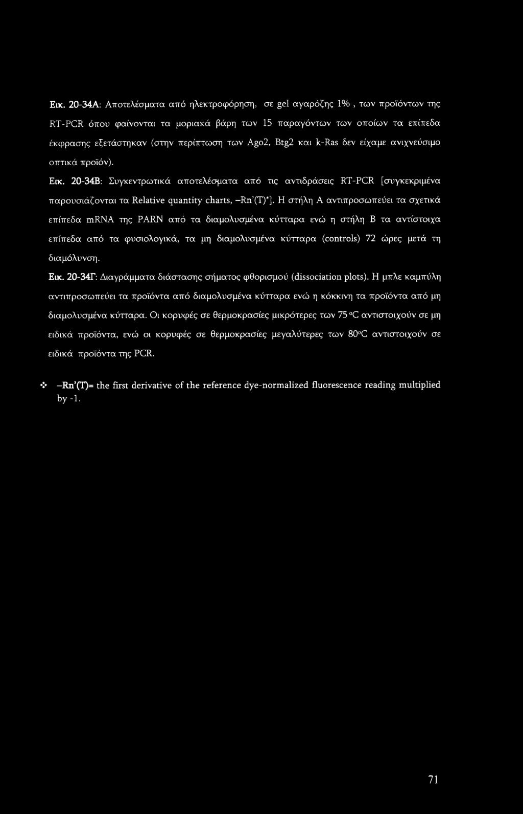 Η στήλη Α αντιπροσωπεύει τα σχετικά επίπεδα mrna της PARN από τα διαμολυσμένα κύτταρα ενώ η στήλη Β τα αντίστοιχα επίπεδα από τα φυσιολογικά, τα μη διαμολυσμένα κύτταρα (controls) 72 ώρες μετά τη