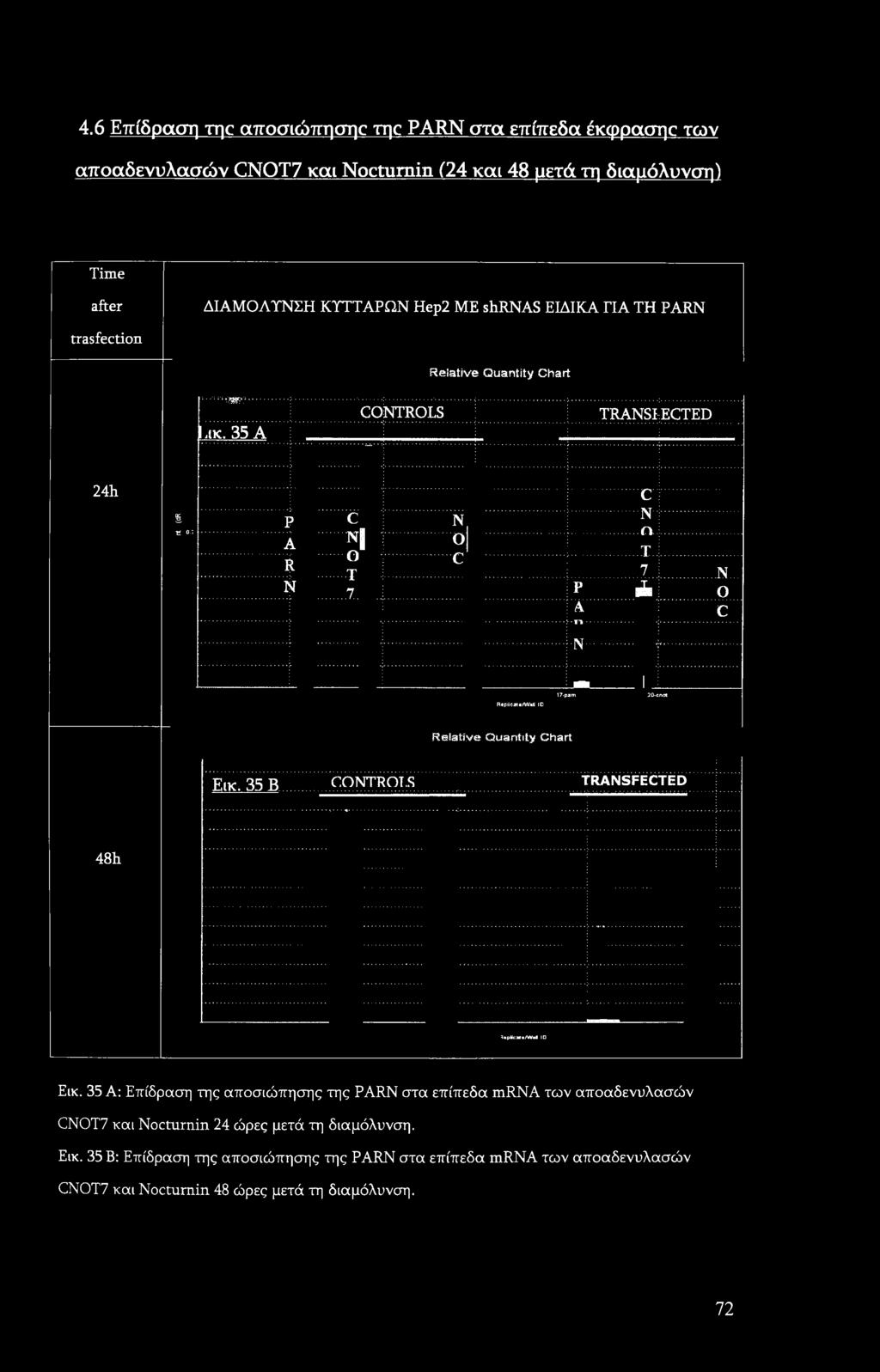 S TRANSFECTED 48h ^«ρκο«λ<ν ΙΙ 10 Εικ.