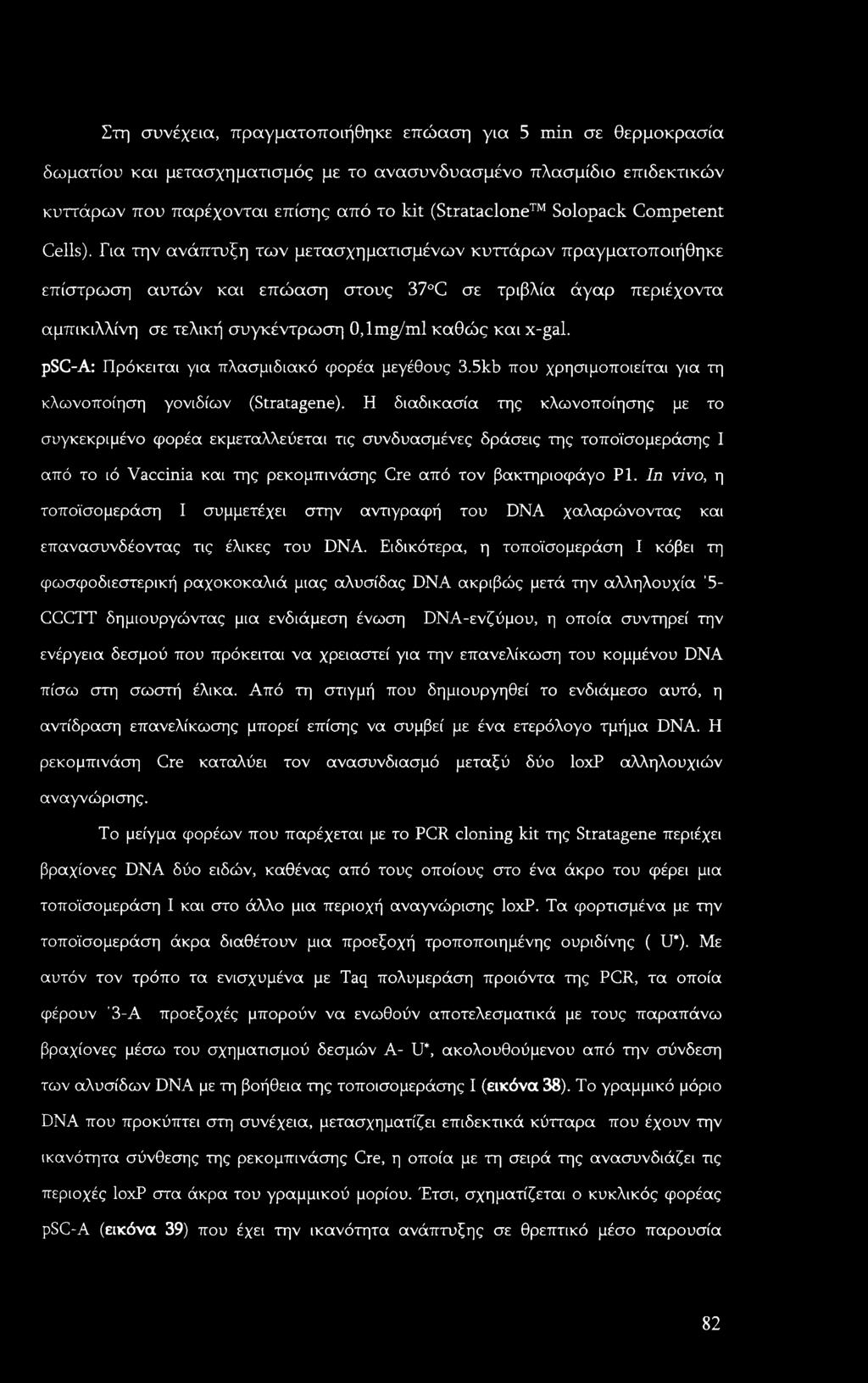 Για την ανάπτυξη των μετασχηματισμένων κυττάρων πραγματοποιήθηκε επίστρωση αυτών και επώαση στους 37 C σε τριβλία άγαρ περιέχοντα αμπικιλλίνη σε τελική συγκέντρωση 0,1 mg/ml καθώς και x-gal.