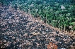 Η απώλεια δασών αυξάνει την διάβρωση του εδάφους, την προσάμμωση των ποταμών, και την απόθεση λάσπης, που έχει επιπτώσεις στη ναυσιπλοϊ'α, την αλιεία, την καταλληλότητα του βιότοπου για άγρια ζωή,