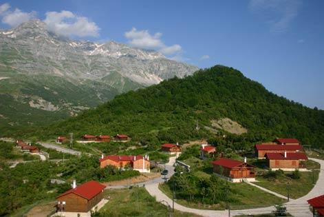 Η υπερβόσκηση, που συχνά έπεται των πυρκαγιών, είναι το σημαντικότερο αίτιο της εικόνας των γυμνών βουνών της χώρας.