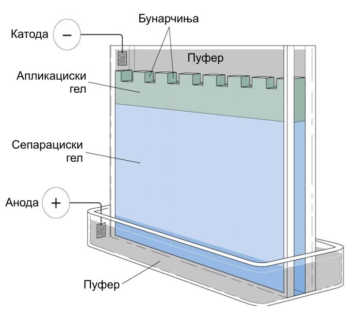 има многу поголема резолуциска моќ.