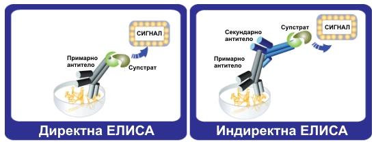 Врз основа на принципот на изведување на реакцијата радиоимунолошките и имуноензимските тестови можат да бидат компетитивни и некомпетитивни.