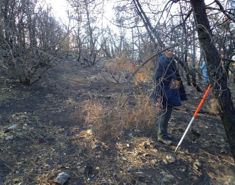 Για περισσότερες πληροφορίες σχετικά με το πρωτόκολλο ο αναγνώστης παραπέμπεται στη σχετική βιβλιογραφία