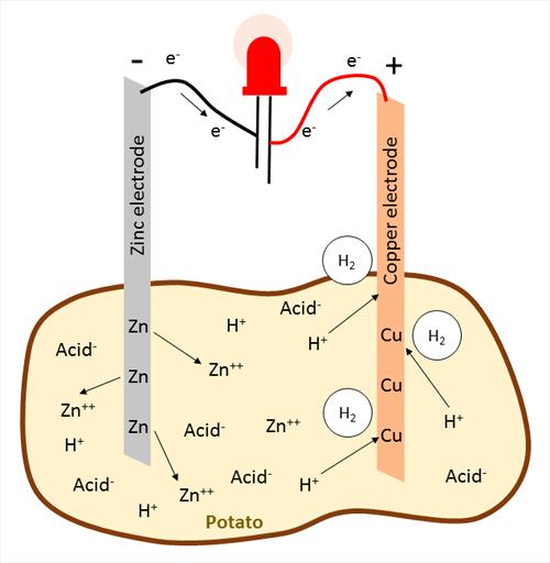 Εξίσωση 1 (ηλεκτρόδιο ψευδαργύρου): Zn Zn+ ++ 2 ε- Ενώ ο ψευδάργυρος ενώνεται με τον ηλεκτρολύτη ως ένα θετικό ιόν (Zn ++ ), τα ηλεκτρόνια ρέουν μέσα από το καλώδιο που συνδέει τα ηλεκτρόδια.