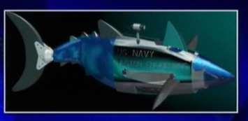 Ναυπηγική: Μηχανικό Ψάρι (Robotic fish) Michigan