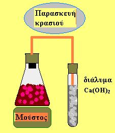 Με αλκοολική ζύμωση Η παρασκευή αιθανόλης από τη γλυκόζη που περιέχεται στα σταφύλια ονομάζεται αλκοολική ζύμωση και γίνεται παρουσία του ενζύμου ζυμάση: Το προϊόν είναι το κρασί.