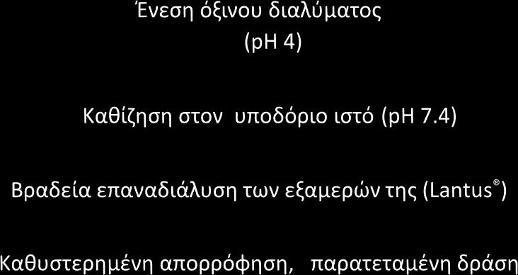 Αρχή της επιβράδυνσης απορρόφησης της