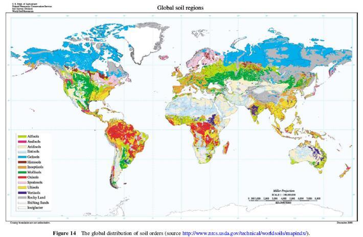 GLOBAL SOIL