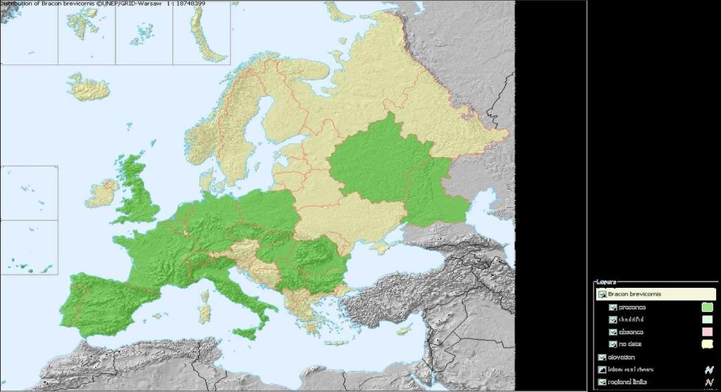 1.4.5 Γεωγραφική κατανομή Το B. brevicornis είναι διαδεδομένο στην Ευρώπη (Εικόνα 12), Δυτική Αφρική, Ασία, Ινδία, Νότια Αφρική (Elzinga et al. 2007).