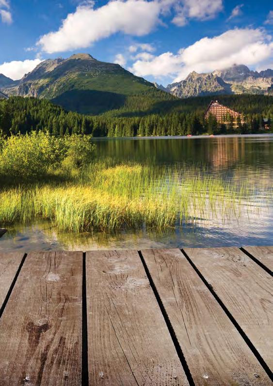 HISTÓRIA štrbského PLESA Do polovice 13.storočia boli celé Tatry kráľovským majetkom.
