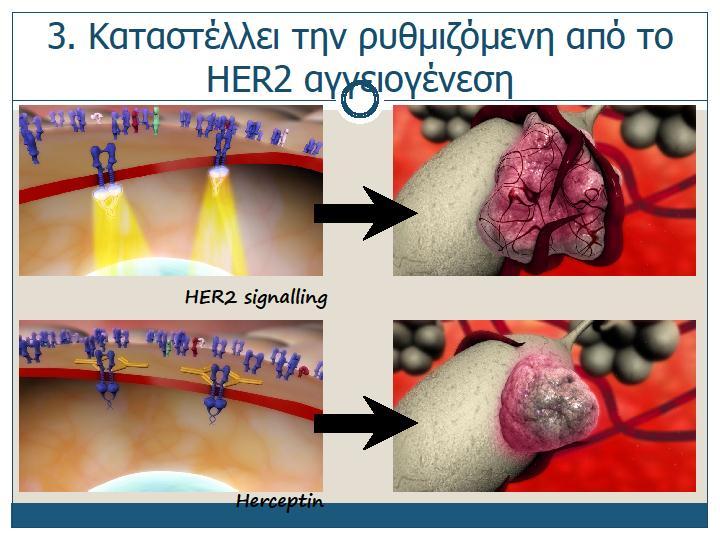 et al, Clin Cancer Res