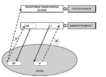 Ερώτηση 2 Στο διπλανό σχήμα φαίνονται τέσσερις τρόποι μεταφοράς ουσιών (1-4) διαμέσου της κυτταρικής μεμβράνης. (α) Να αναφέρετε τα ονόματα των τρόπων μεταφοράς 1-4. (4 Χ 0.5=2μ) 1.... 2.... 3.... 4.