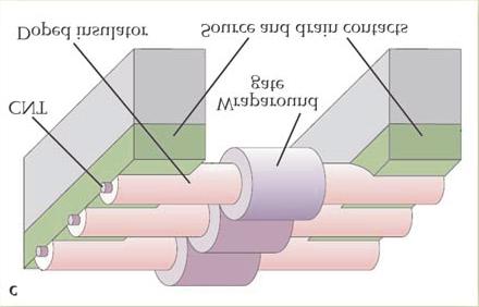164 19. Nanoelektronske naprave Sl. 10. Varijanta tranzistora koji sadrži paralelno postavljene nanotube u kojima se formiraju kanali za transpost nosilaca od sorsa do drejna.