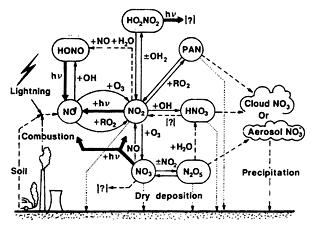 Οι αρνητικές επιπτώσεις των οξειδίων του αζώτου (ΝΟ x ) προέρχονται κυρίως από τη δράση του διοξειδίου του αζώτου (ΝΟ 2 ), το οποίο δηµιουργείται από την ταχύτατη οξείδωση του µονοξειδίου του αζώτου
