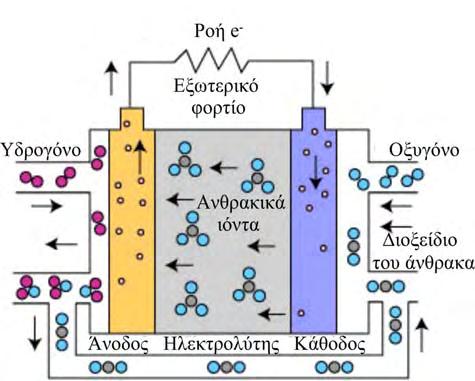 ΚΕΦΑΛΑΙΟ 2 κάθοδο και παράγουν ηλεκτρική ισχύ. Οι χημικές αντιδράσεις στα ηλεκτρόδια περιγράφονται παρακάτω (σχήμα 2.8).