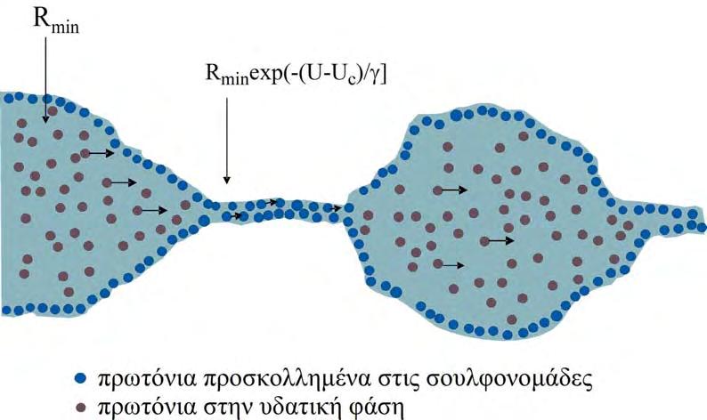 ΜΕΛΕΤΗ ΤΗΣ ΑΓΩΓΙΜΟΤΗΤΑΣ ΜΕΜΒΡΑΝΩΝ NAFION ΜΟΝΤΕΛΟ γ συνιστώσα της αγωγιμότητας σχετίζεται με την μετανάστευση των πρωτονίων στην επιφάνεια των πόρων του Nafion (σχήμα 3.17). Σχήμα 3.