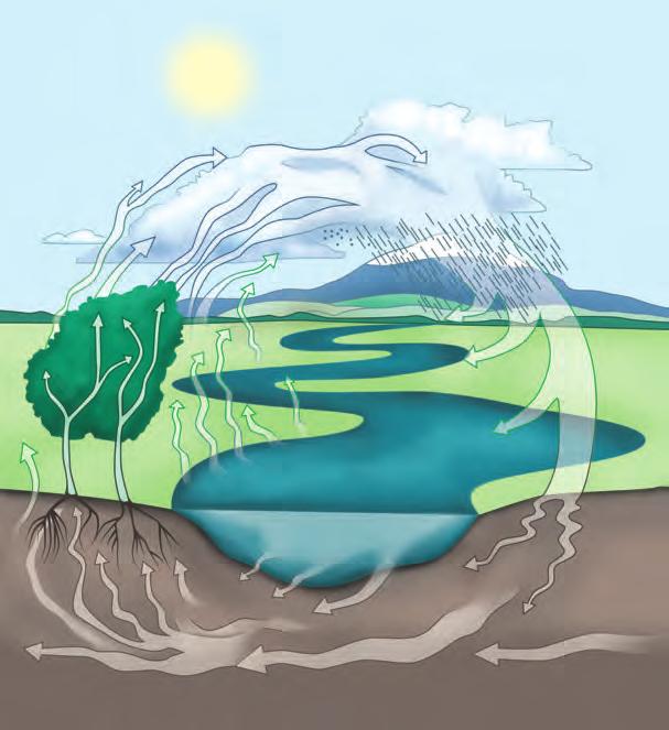 HIDROMETEOROLOGIJA 165 1 10 11 2 3 4 5 8 9 6 7 1. Sunčevo zračenje 2. Voda u atmosferi 3. Voda u obliku snijega i leda 4. Oborine 5. Površinsko otjecanje 6. Infiltracija 7. Podzemni tok 8.