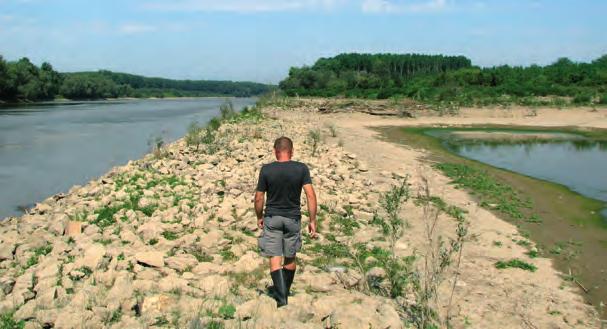 INFRASTRUKTURA 51 Kose obaloutvrde uglavnom dijelimo prema tipovima obloge.
