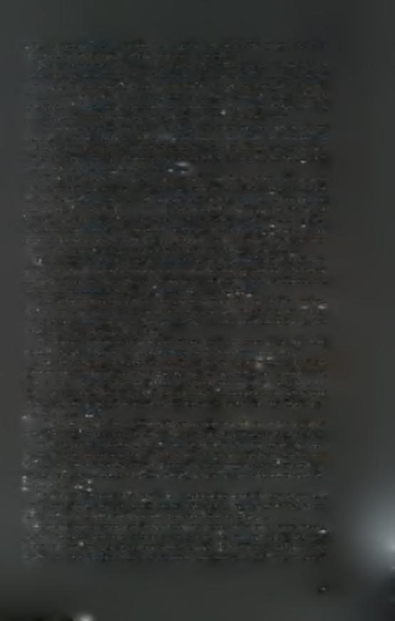 Όπως προαναφέρθηκε, η τομάτα το οφείλει το ελκυστικό χρώμα της στα καροτενοειδή, και κυρίως στο β-καροτένιο και στο λυκοπένιο.