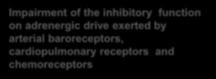 influence on the CV system Exaggerated adrenergic