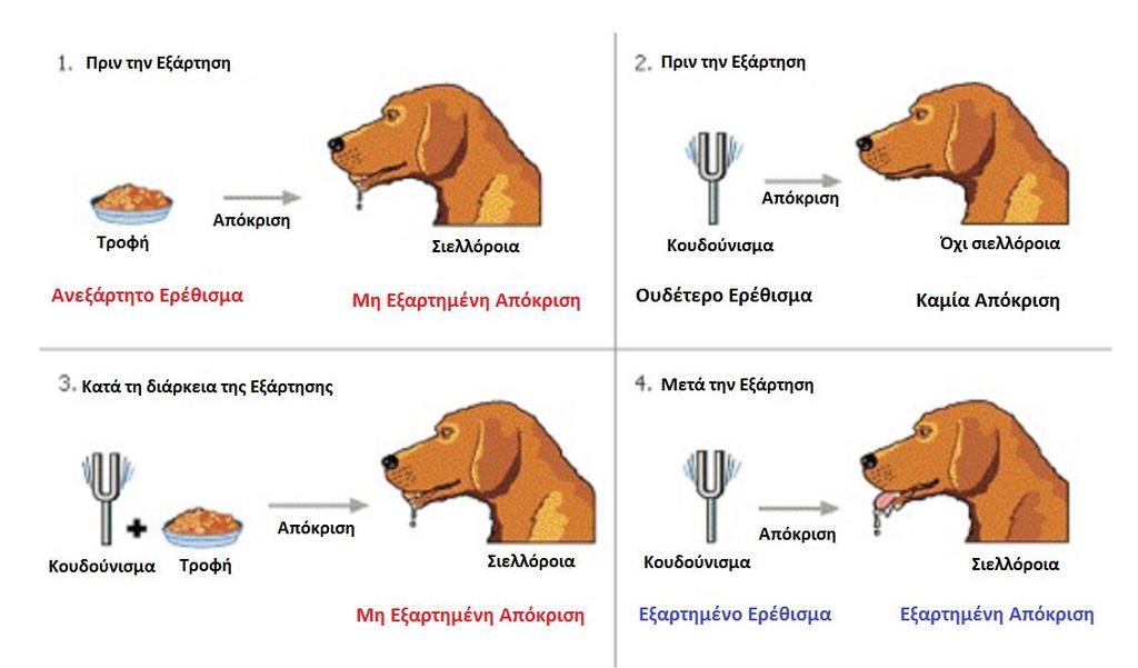 Ποιοτική κατηγοριοποίηση μνήμης Μη Δηλωτική Μνήμη Κλασική εξαρτημένη μάθηση και