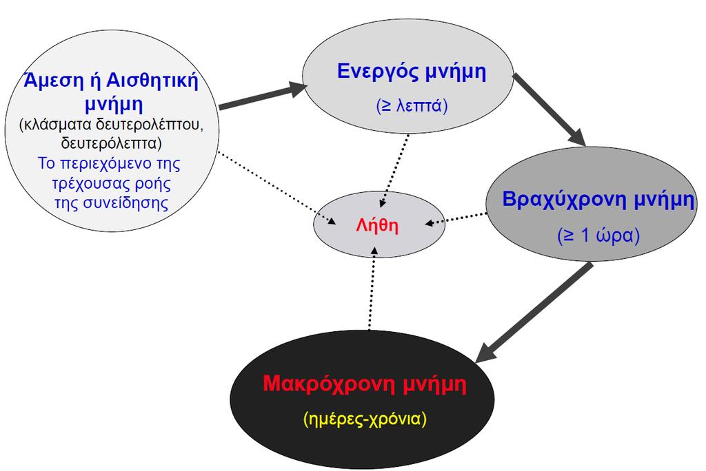 ΧΡΟΝΙΚΗ