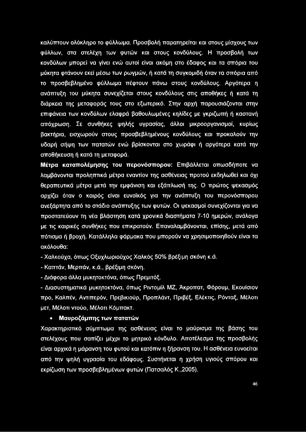 καλύπτουν ολόκληρο το φύλλωμα. Προσβολή παρατηρείται και στους μίσχους των φύλλων, στα στελέχη των φυτών και στους κονδύλους.