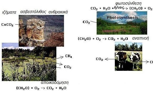 ΜΑΘΗΜΑ 5 4. Στη φύση υπάρχουν υδατάνθρακες σε: φυτά Φυτικά προϊόντα Ζωϊκά προϊόντα 5.