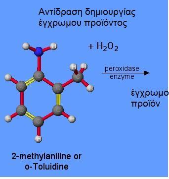 Γ. Πρόσθετο υλικό (εκτός ύλης) Σάκχαρα και Υγεία / Διατροφή Test γλυκόζης στο αίμα Τα επίπεδα της γλυκόζης στο αίμα μετρώνται με τη μέθοδο που βασίζεται στο ένζυμο οξειδάση της γλυκόζης το οποίο