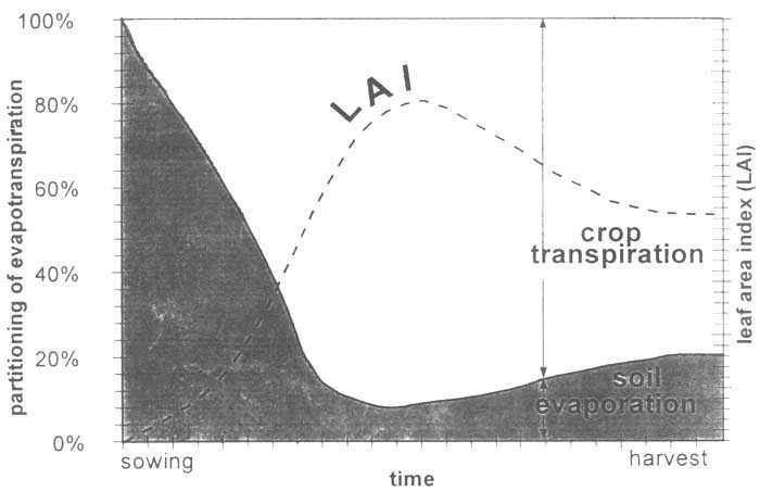 Στο Σχήµα 2 απεικονίζεται ως συνάρτηση του χρόνου ο επιµερισµός της εξατµοδιαπνοής σε εξάτµιση και διαπνοή σε σχέση µε τον δείκτη επιφάνειας φύλλων (leaf area index / LAI) ανά µονάδα υποκείµενης